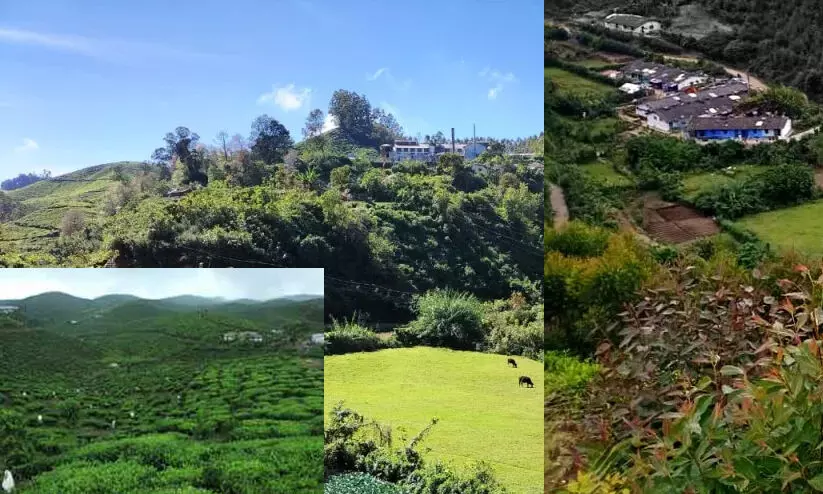 മുൻകാല പാട്ടങ്ങൾ ക്രമരഹതിമായി തുടരുന്നുവെന്ന് റിപ്പോർട്ട്