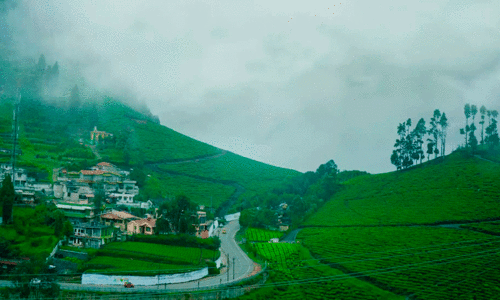 ooty