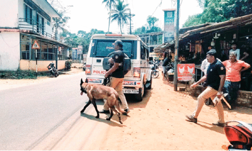 police dog police dog
