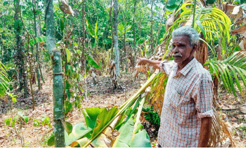 ദേ​വ​സ്യ