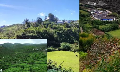 മുൻകാല പാട്ടങ്ങൾ ക്രമരഹതിമായി തുടരുന്നുവെന്ന് റിപ്പോർട്ട്