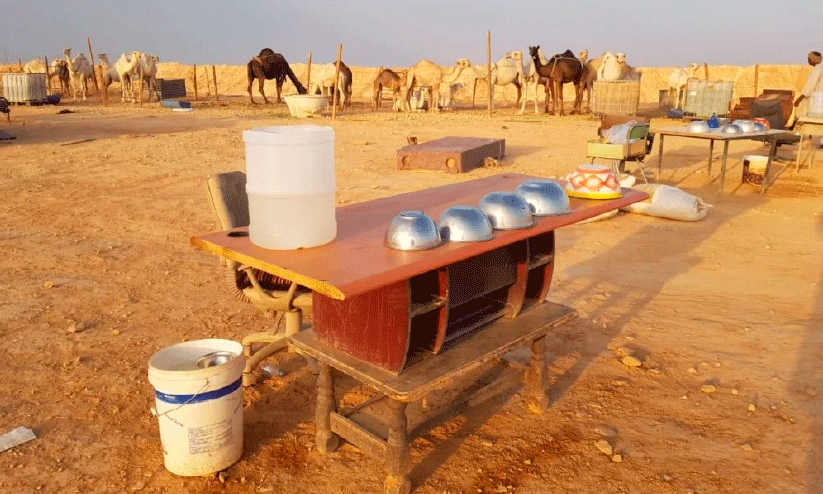 ഒ​ട്ട​ക​പ്പാ​ൽ വി​ൽ​പ​ന