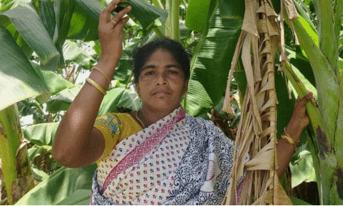 പെൺമക്കളുടെ വിദ്യാഭ‍്യാസത്തിന് പണം കണ്ടെത്താൻ ആ 42കാരി മണ്ണിലിറങ്ങി. ഇന്ന് സ്വന്തം ബ്രാൻഡിൽ നൂറിലധികം പാക്കറ്റ് ഉൽപന്നങ്ങൾ വിൽക്കുന്നു