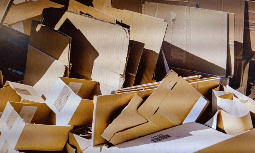 കാ​ർ​ട്ട​ൺ ക​യ​റ്റു​മ​തി​ക്കും പു​ന​ർ ക​യ​റ്റു​മ​തി​ക്കും നി​രോ​ധ​നം