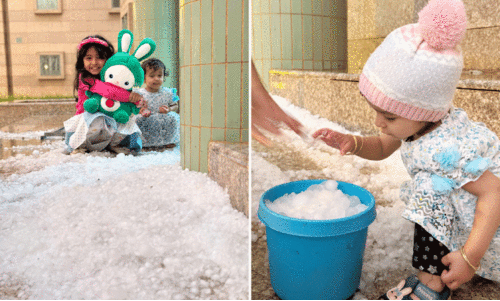 തെ​ക്കും വ​ട​ക്കും വി​രു​ദ്ധ കാ​ലാ​വ​സ്ഥ;  ചു​ട്ടു​പൊ​ള്ളി​യും ത​ണു​ത്തു​വി​റ​ച്ചും സൗ​ദി