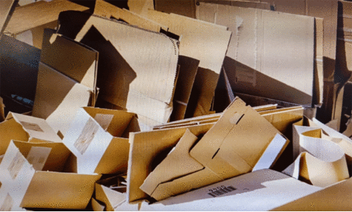 കാ​ർ​ട്ട​ൺ ക​യ​റ്റു​മ​തി​ക്കും പു​ന​ർ ക​യ​റ്റു​മ​തി​ക്കും നി​രോ​ധ​നം