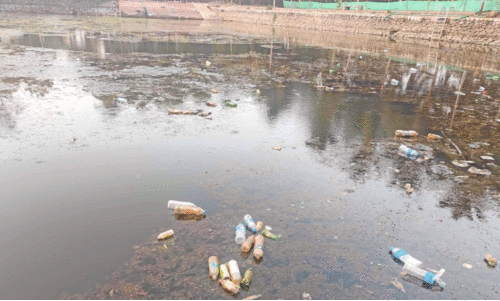 Odungatkulam Odungatkulam