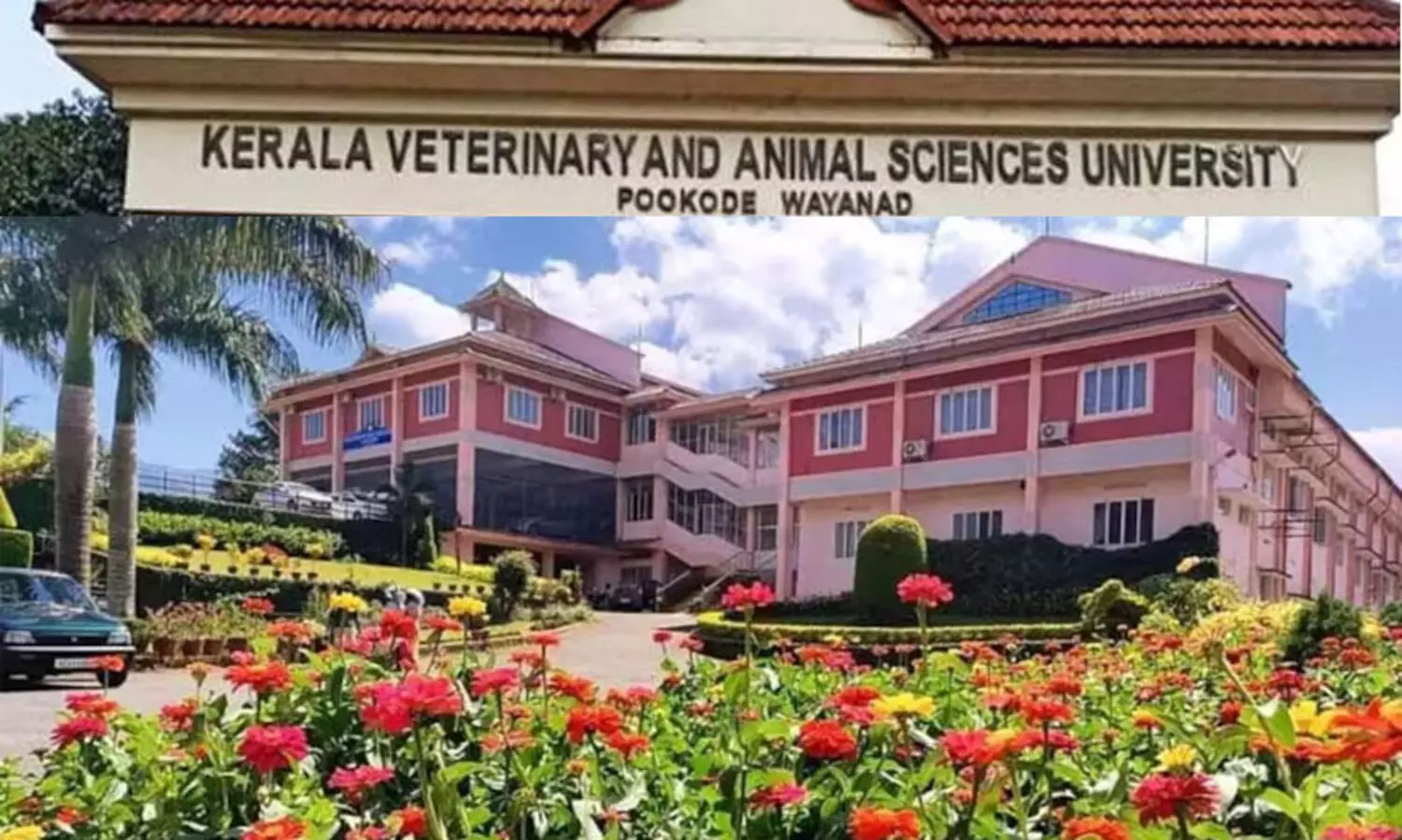 റാഗിങ് പരാതിയിൽ പൂക്കോട് വെറ്ററിനറി സര്‍വകലാശാലയിലെ 13 വിദ്യാർഥികളുടെ സസ്പെൻഷൻ റദ്ദാക്കി