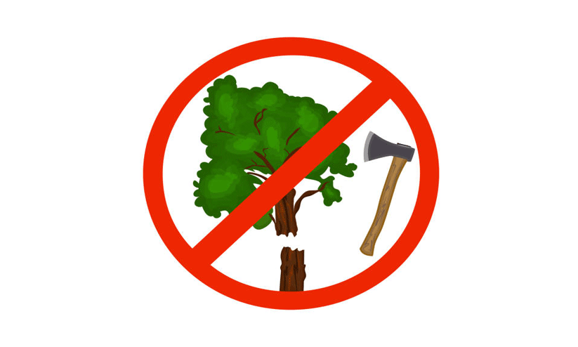 വയനാട്ടിൽ വീണ്ടും അനധികൃത മരംമുറി; ആ​റുപേ​ർ​ക്കെ​തി​രെ കേ​സ്