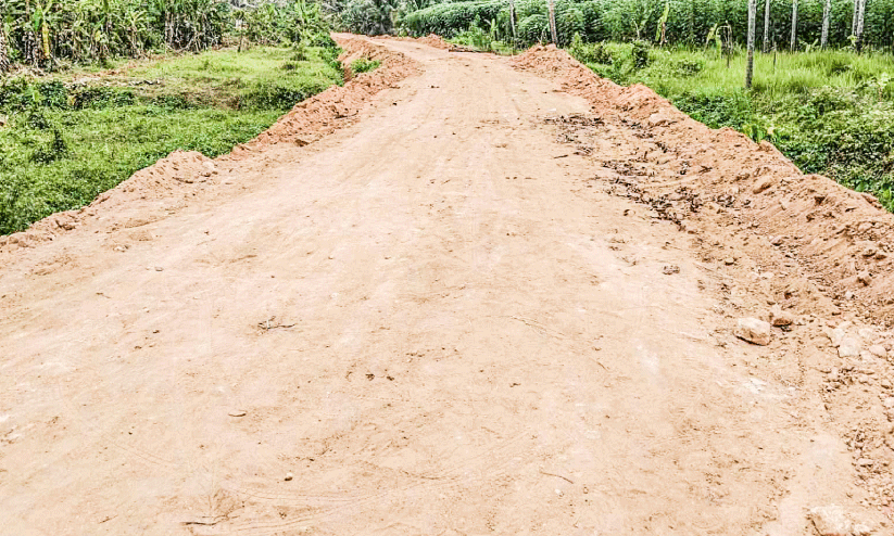 തുടർച്ചയായ അവധി ദിവസങ്ങൾ; ഏക്കറുകണക്കിന്​ നിലം നികത്താൻ മണ്ണുമാഫിയ