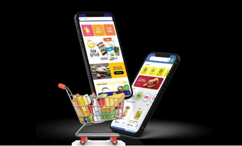 online groccery app online groccery app