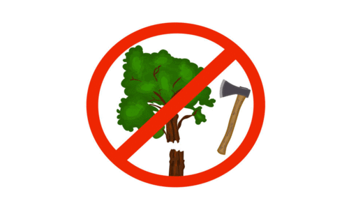 വയനാട്ടിൽ വീണ്ടും അനധികൃത മരംമുറി; ആ​റുപേ​ർ​ക്കെ​തി​രെ കേ​സ്