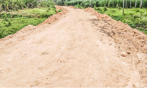 തുടർച്ചയായ അവധി ദിവസങ്ങൾ; ഏക്കറുകണക്കിന്​ നിലം നികത്താൻ മണ്ണുമാഫിയ