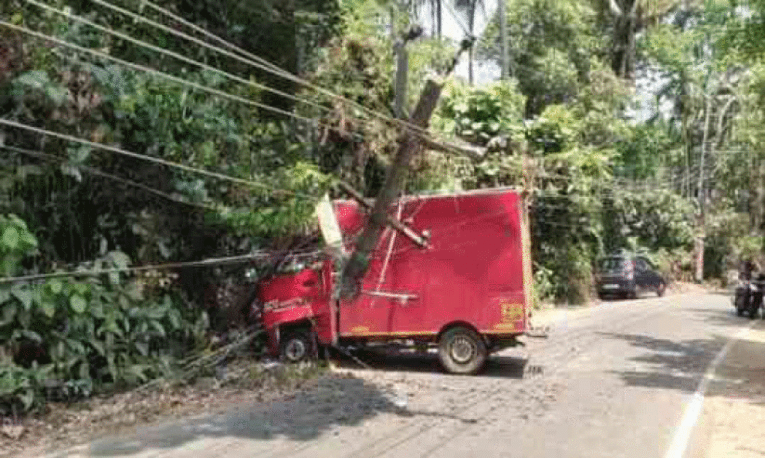 ഡ്രൈ​വ​ർ​ക്ക് ദേ​ഹാ​സ്വാ​സ്ഥ്യം; ഡെ​ലി​വ​റി വാ​ൻ വൈ​ദ്യു​തി തൂ​ണി​ലി​ടി​ച്ചു