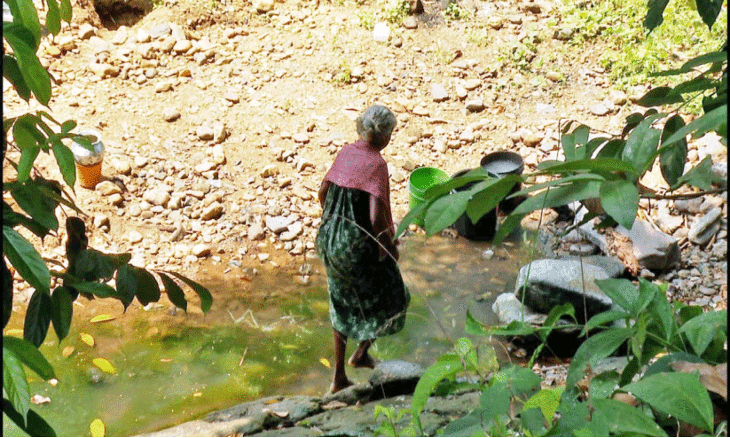 തോടുകളും പുഴകളും വരണ്ടു; കുടിവെള്ളത്തിന് നെട്ടോട്ടം