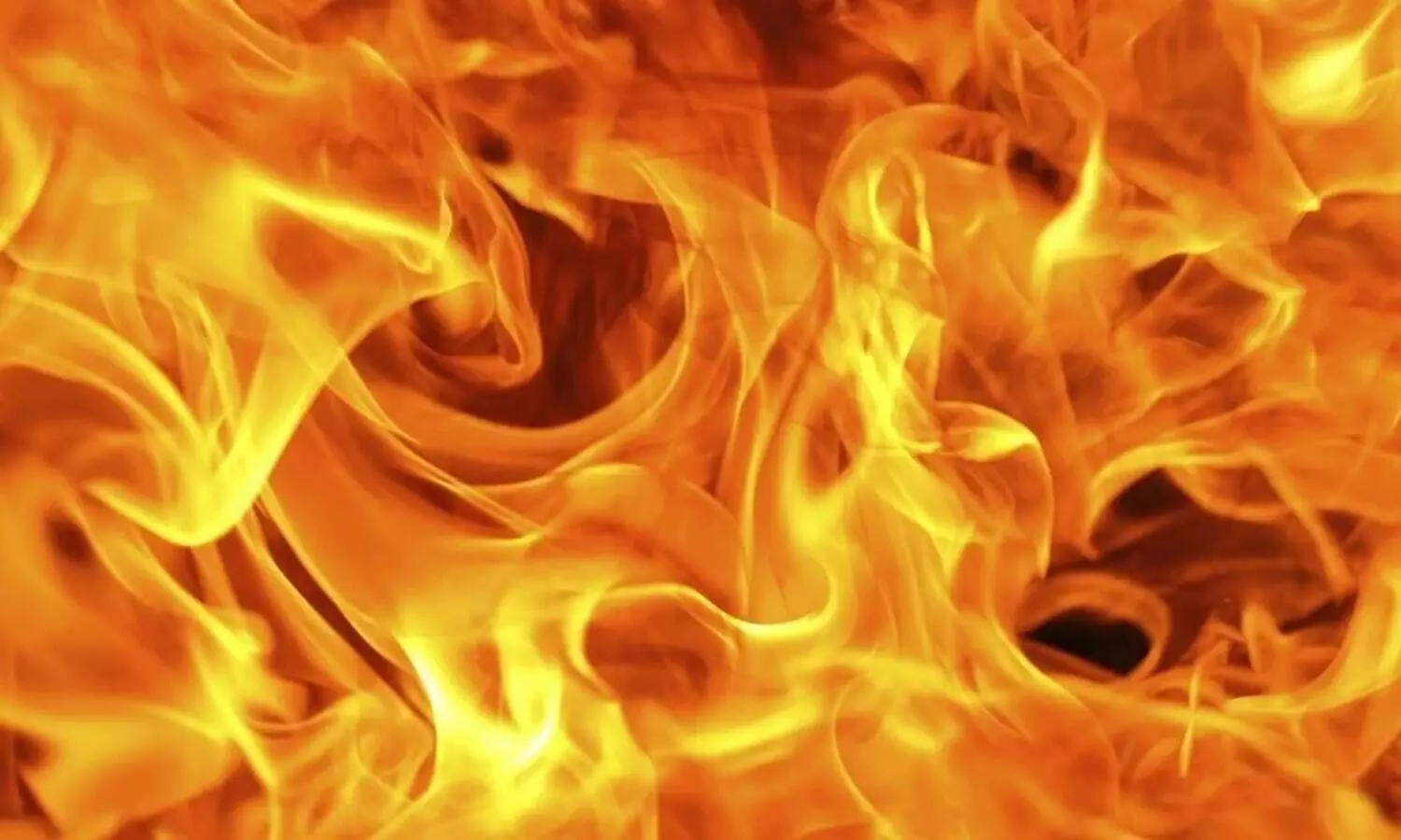 കർണാടകയിൽ മീൻ ഫാക്ടറിക്ക് തീപിടിച്ചു; തീ അണച്ചത് നാല് മണിക്കൂർ നീണ്ട പരിശ്രമത്തിനൊടുവിൽ, ആളപായമില്ല