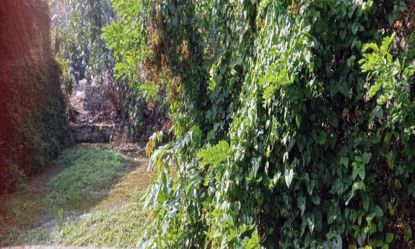 പദ്ധതികള്‍ കടലാസിലൊതുങ്ങി; ജല സ്രോതസ്സുകള്‍ നശിക്കുന്നു