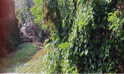 പദ്ധതികള്‍ കടലാസിലൊതുങ്ങി; ജല സ്രോതസ്സുകള്‍ നശിക്കുന്നു