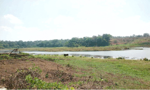 ശാസ്താംകോട്ട തടാകം അതിവേഗം വരളുന്നു