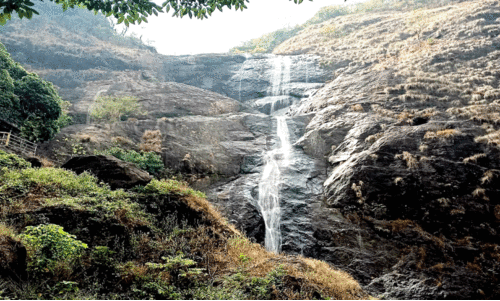 പാലരുവിയില്‍ സന്ദര്‍ശകര്‍ക്ക് വിലക്ക്