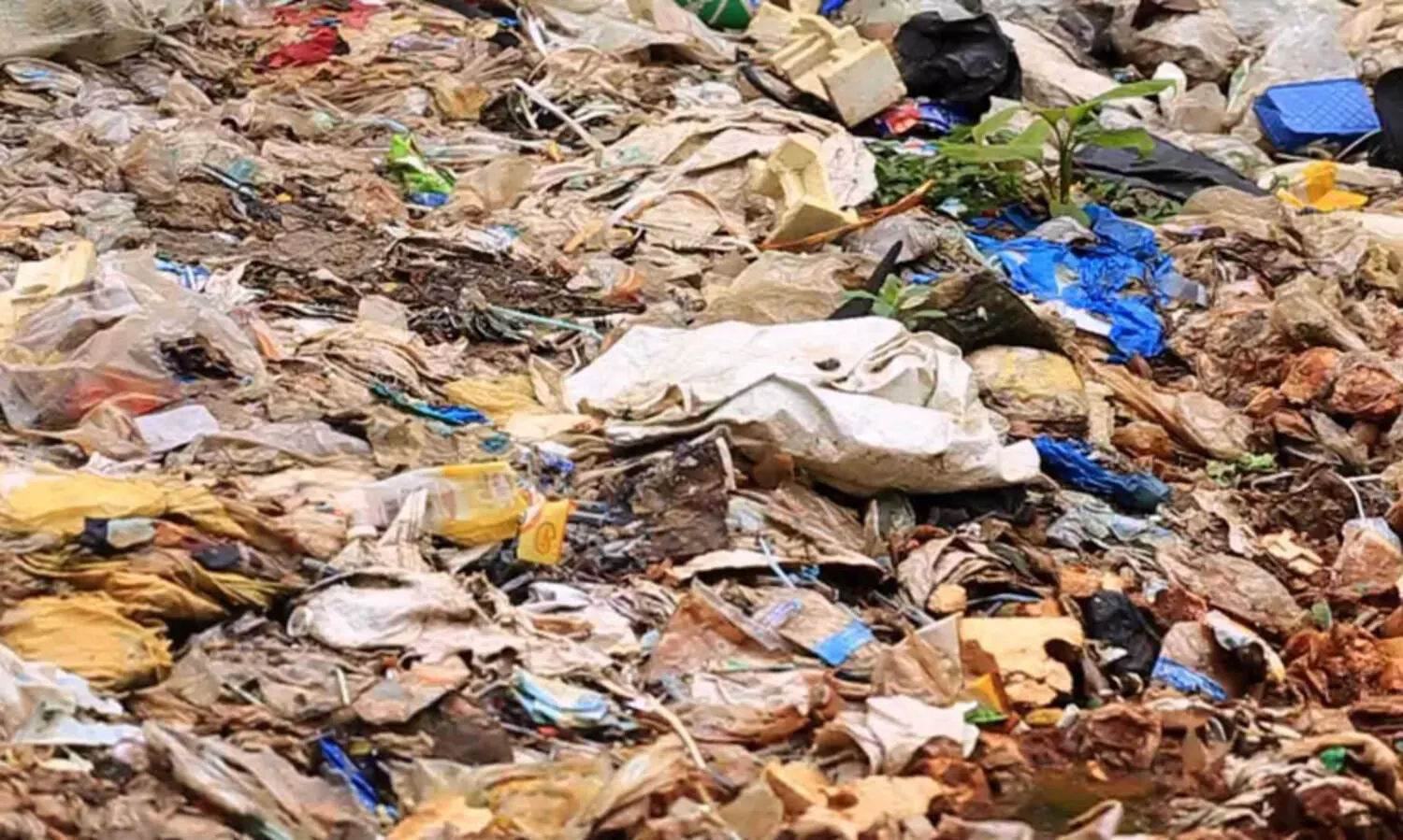 മാലിന്യസംഭരണ കേന്ദ്രങ്ങളില്‍ പരിശോധന നടത്തി