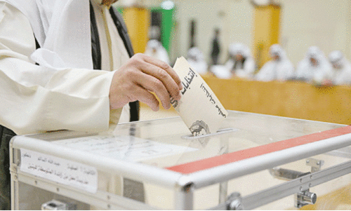 national assembly elections