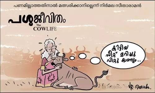 പശുജീവിതം