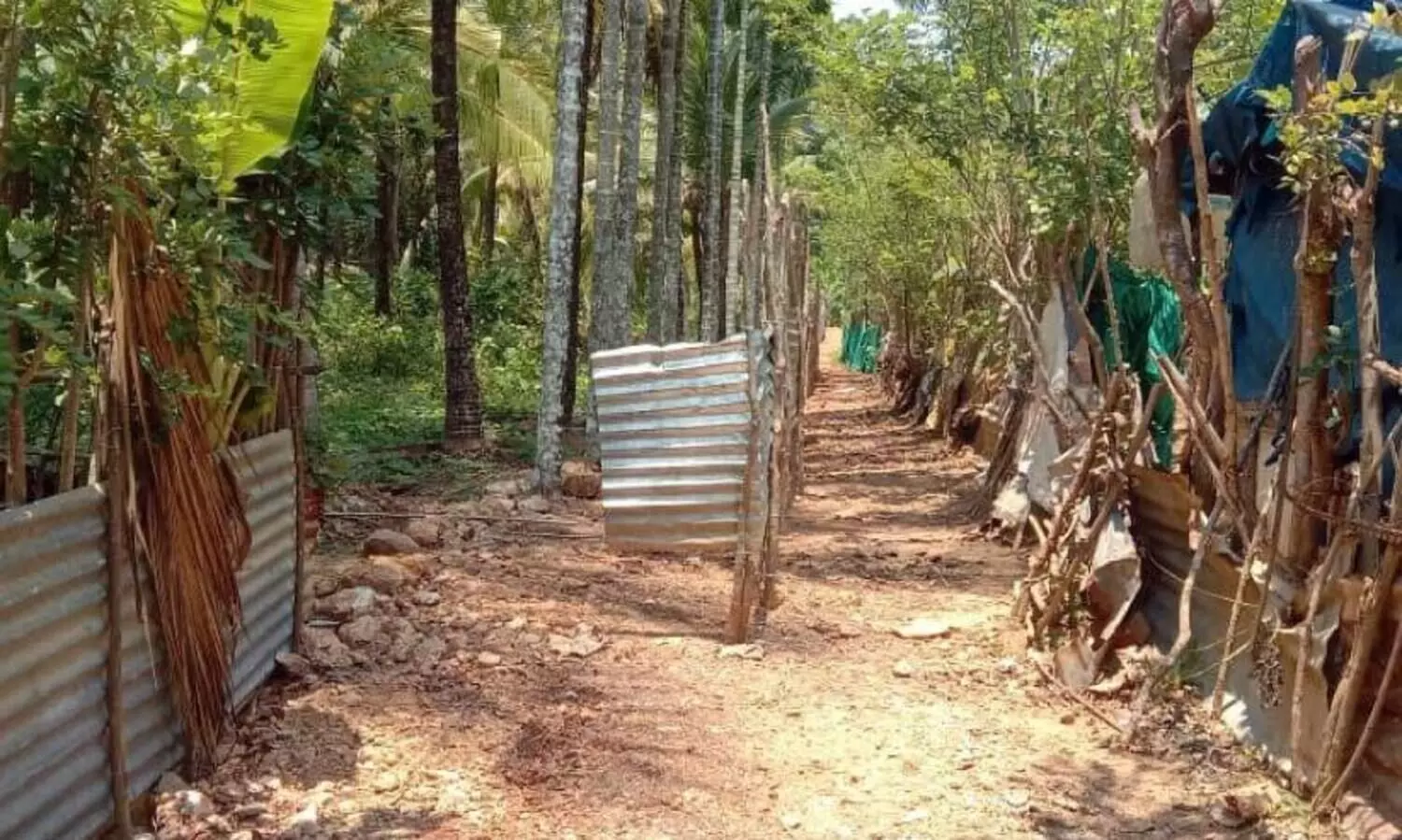 ആദിവാസി യുവതിയുടെ വീട്ടിലേക്കുള്ള വഴി തടസ്സപ്പെടുത്തിയതായി പരാതി