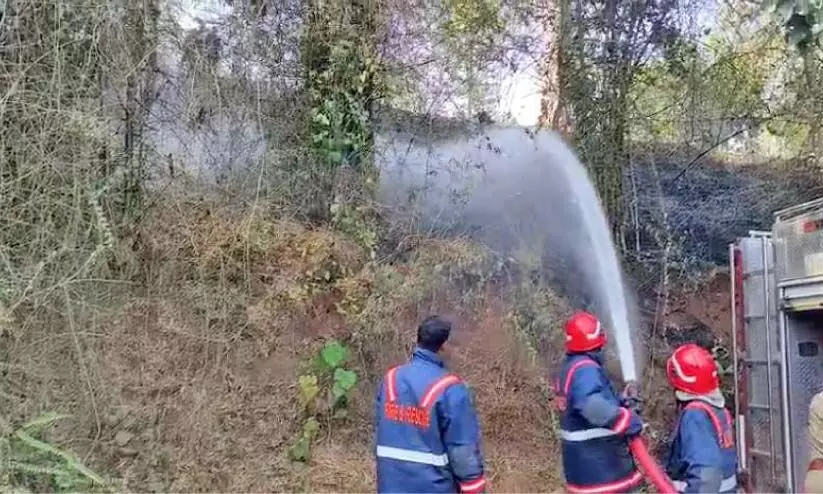 അ​ടി​ക്കാ​ടു​ക​ൾ​ക്ക് തീ​പി​ടി​ച്ചു