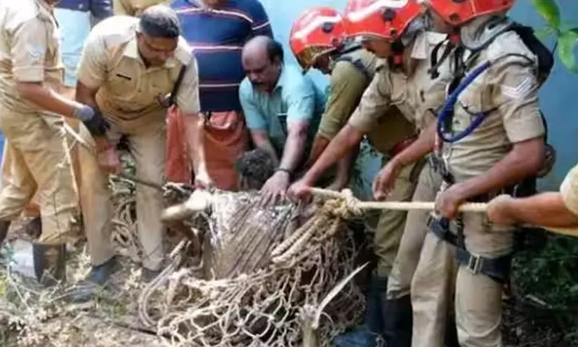 80 അടി താഴ്ചയുള്ള കിണറിൽ വീണ മൂന്ന് യുവാക്കളെ ഫയർഫോഴ്സെത്തി രക്ഷപ്പെടുത്തി 80 അടി താഴ്ചയുള്ള കിണറിൽ വീണ മൂന്ന് യുവാക്കളെ ഫയർഫോഴ്സെത്തി രക്ഷപ്പെടുത്തി