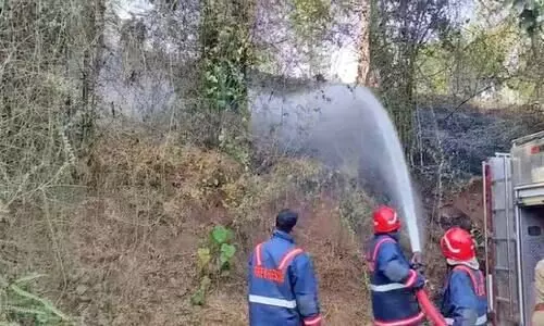 അ​ടി​ക്കാ​ടു​ക​ൾ​ക്ക് തീ​പി​ടി​ച്ചു