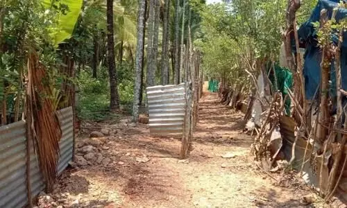 ആദിവാസി യുവതിയുടെ വീട്ടിലേക്കുള്ള വഴി തടസ്സപ്പെടുത്തിയതായി പരാതി