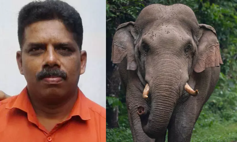 പത്തനംതിട്ടയിൽ കാട്ടാന ആക്രമണത്തിൽ മധ്യവയസ്കൻ കൊല്ലപ്പെട്ടു | man ...