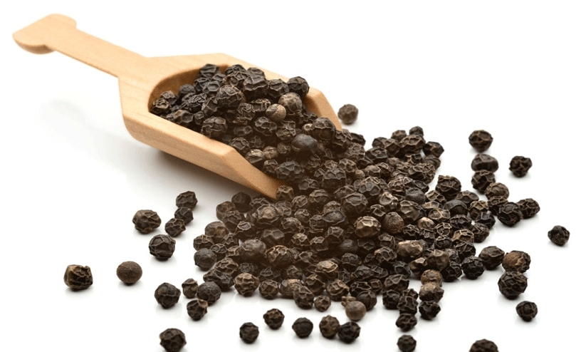 ആവേശമായി കുരുമുളകിന്റെ തിരിച്ചുവരവ്