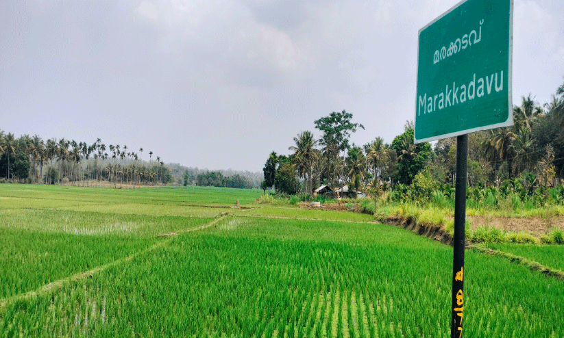 കൊ​ടി​യ വേ​ന​ലി​ലും നെ​ൽ​കൃ​ഷി​യു​മാ​യി ഗൗ​ഡ സ​മു​ദാ​യം