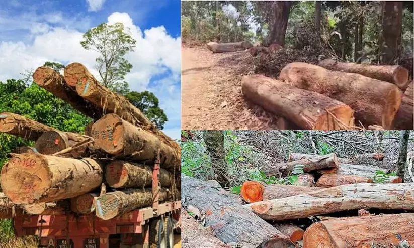 വയനാട്ടിലെ വനംകൊള്ള: പ്രത്യേക അന്വേഷണ സംഘത്തെ നിയമിക്കണമെന്ന് പ്രകൃതി സംരക്ഷണ സമിതി വയനാട്ടിലെ വനംകൊള്ള: പ്രത്യേക അന്വേഷണ സംഘത്തെ നിയമിക്കണമെന്ന് പ്രകൃതി സംരക്ഷണ സമിതി