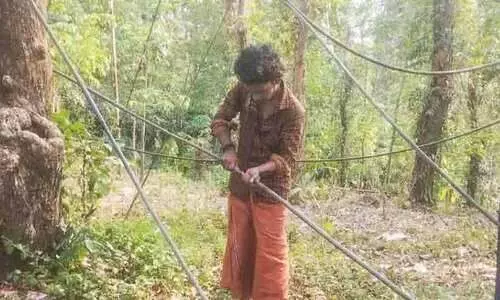 drinking water source