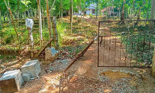 കൂട്ടംതെറ്റിയെത്തിയ കാട്ടുപന്നി പട്ടാപ്പകല്‍ വീടിന്‍റെ ഗേറ്റ് തകര്‍ത്തു