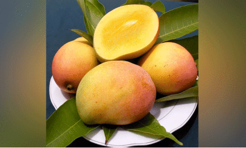 ഒളോർ മാങ്ങക്ക്​ പൊള്ളും വില