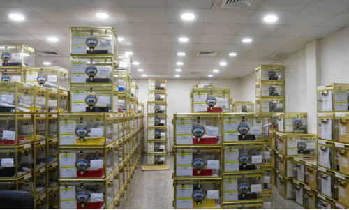 polling stations at Kuwait