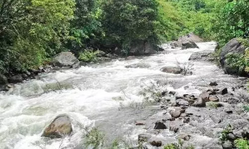 ചി​ങ്ക​ക്ക​ല്ല് കാ​ട്ടാ​റ്