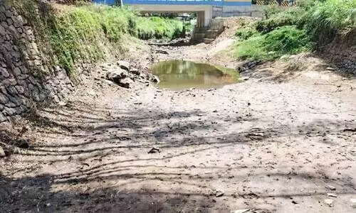 ചെ​ക്ക്​ ഡാം