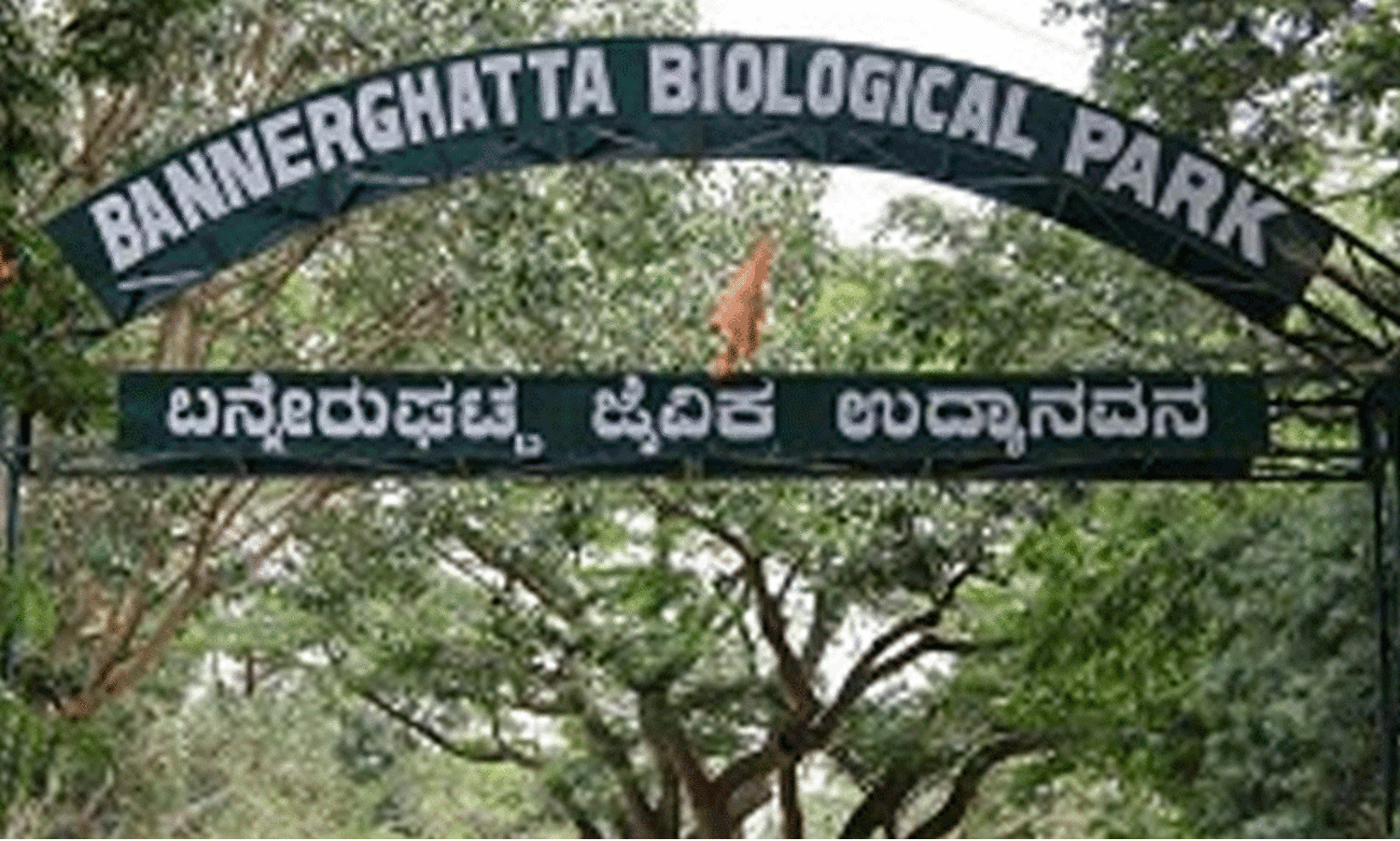 Bannerghatta Park