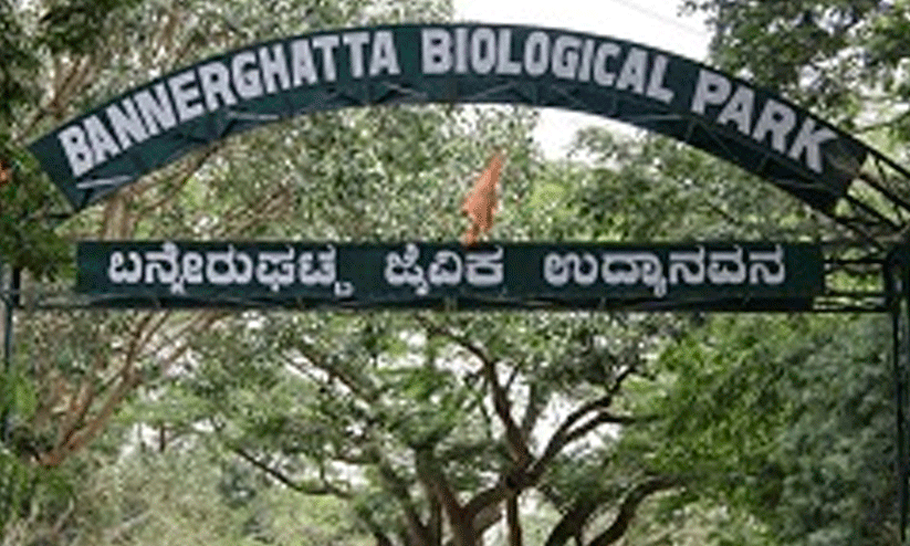 Bannerghatta Park
