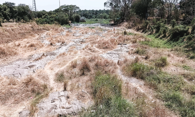 Summer rain, Summer rain,