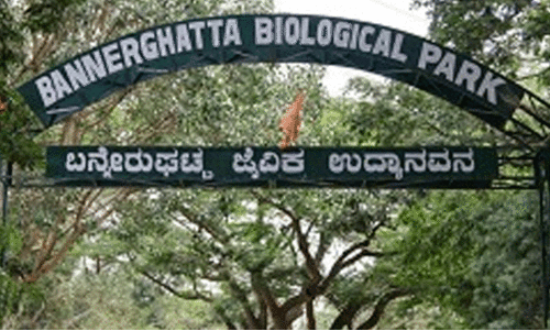 Bannerghatta Park