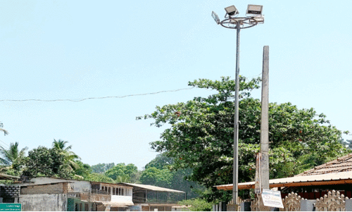 ലോ​മാ​സ്റ്റ് ലൈ​റ്റ്