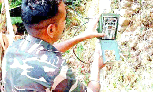 വ​ന​പാ​ല​ക​ർ കാ​മ​റ​ക​ൾ സ്ഥാ​പി​ക്കു​ന്നു