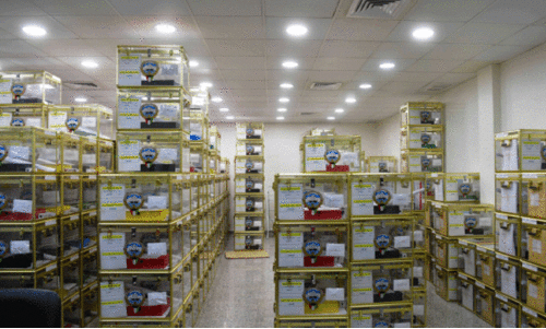 national assembly elections kuwait