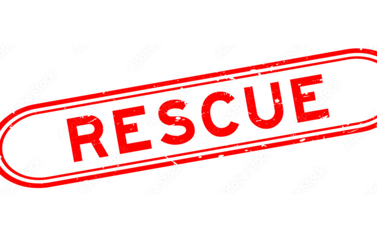rescue